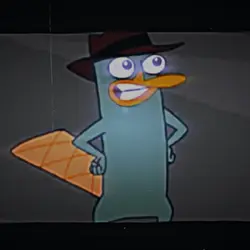 a PLATYPUS?