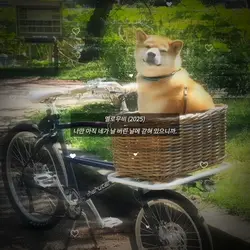 드라마 명언