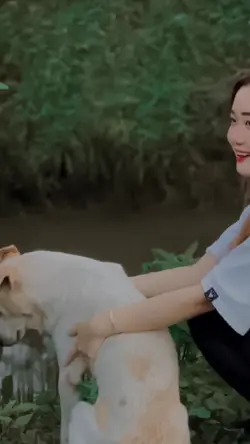 Mẫu 2 ảnh