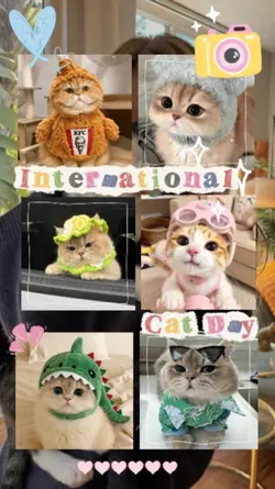 Happy Cat Day