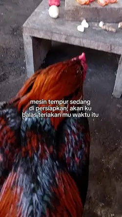 mesin tempur 