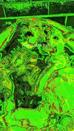 MATCHA FILTER EFFECT