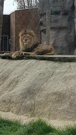 The Zoo!!!!