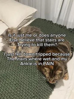 Help me