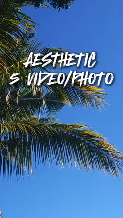 Aestehtic 5 Video