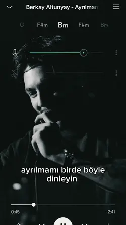 ayrılmam lyrisc 