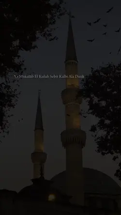 Yeni şablon 