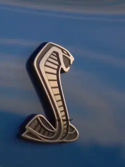 Mustang COBRA Edit