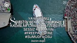 #freepalestine
