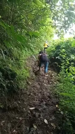 Journey vs