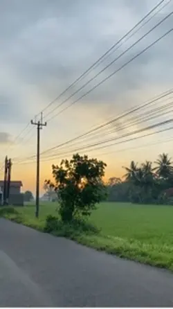 transisi blur