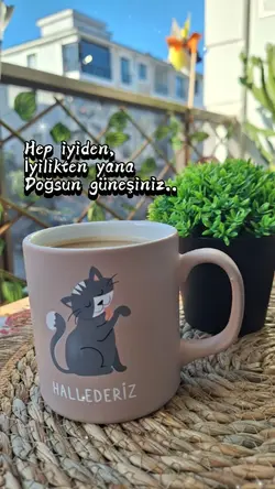 Güneş 