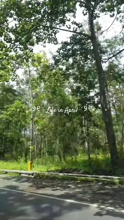 life in april dump 