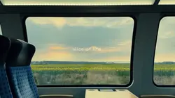 slice of life.
