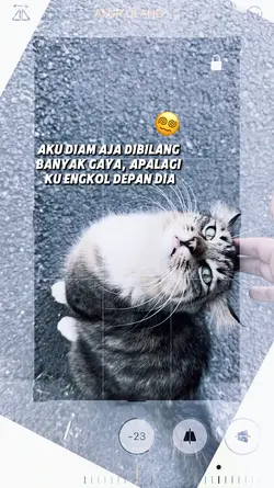 bahan story