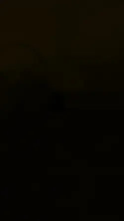 12 Video