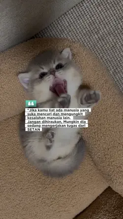 Abaikan Saja.. hehe