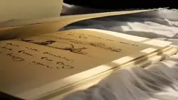 ur video daily
