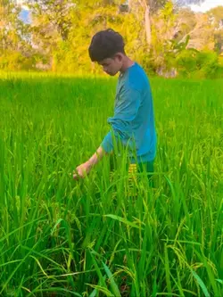 ផ្ញើរសារបេះដូូង♡︎♥︎