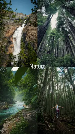 Nature Vibes