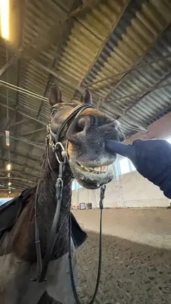 GORGEOUS BOY <3