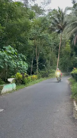 menghilang