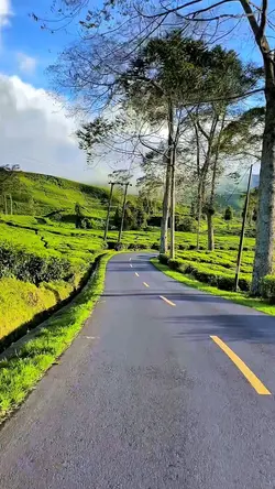 3 video HD story 