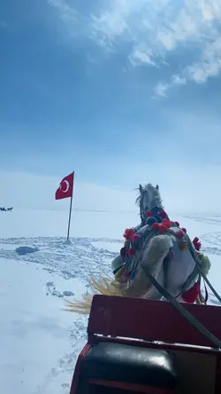 Kars