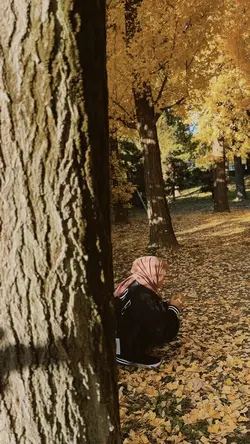 Cozy time (3 video)🎥