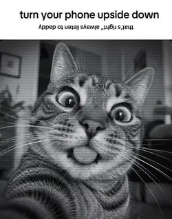 Funny mem