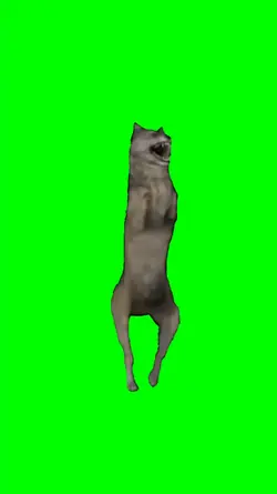 Dancing Wolf