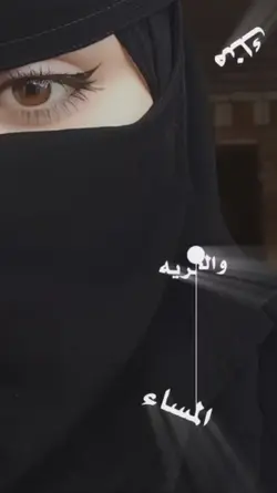 شيلات 