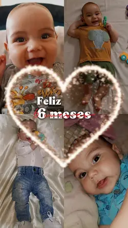 6 meses