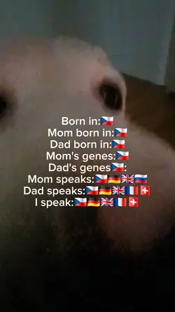language trend