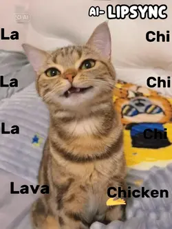LAVA CHICKEN 