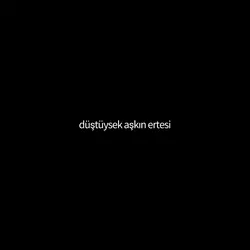 Düştüysek aşknertesi