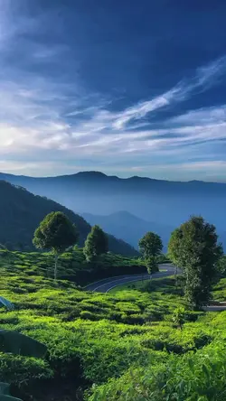 morning view