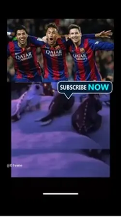 Mns vs bbc