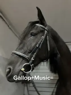 Gallop+Music=
