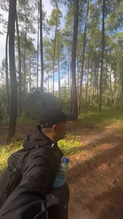 Transisi Gunung
