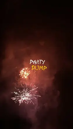 Party Recap