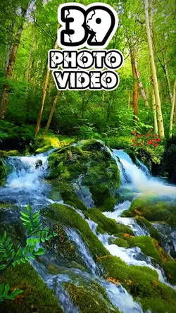 39 clip or photo