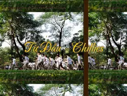 TỪ ĐẦU