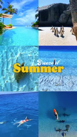 Breeze of summer