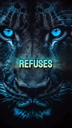 Refuses to settle 