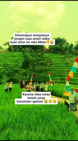 Setor untuk mba Meta