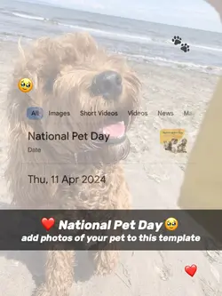 National Pet Day ❤️🥹