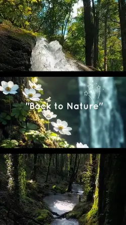 Back to nature