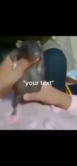 Rat own text