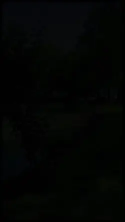 Melhor que ninguém 